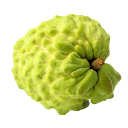 粤云山 释迦果 高品质佛头果新鲜现摘水果 5斤 精选大果