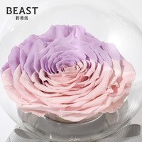 THE BEAST 野兽派 音乐水晶球 巨型永生花