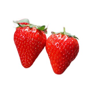 BERRY BRIGADE 莓旅 丹东99草莓 单果30-40g 1kg