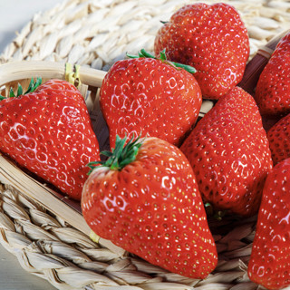 BERRY BRIGADE 莓旅 丹东99草莓 单果25-30g 1.5kg