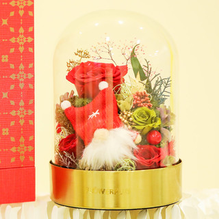 PLUS会员：FlowerPlus 花加 圣诞节玻璃罩永生花礼品 壁炉故事
