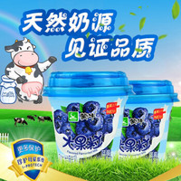 蒙牛大果粒酸奶黄桃蓝莓草莓桑葚椰果粒酸奶风味发酵乳营养早餐奶低温酸奶 蓝莓味260g*6杯