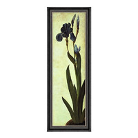 雅昌 阿尔布雷特·丢勒《鸢尾花》39x110cm 油画布 爵士黑实木框