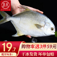 SuXian 速鲜 深海冷冻金鲳鱼400-500g1条袋装扁平鱼昌鱼海鲜水产