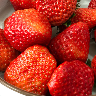 玖玖农场 丹东99草莓 1.5kg