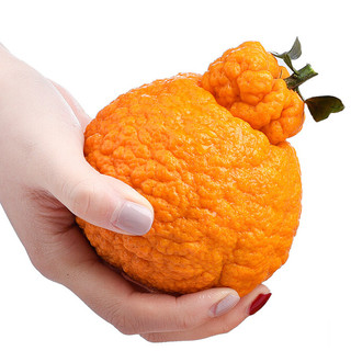 康乐欣 丑橘 单果果径65mm+ 2.25-2.5kg