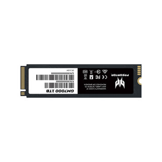 PREDATOR 宏碁掠夺者 GM7000 NVMe M.2 固态硬盘 1TB（PCI-E4.0）