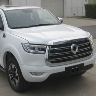 Great Wall Motors 长城 炮EV 21款 商用版 小双 精英型