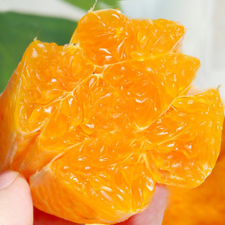 XIANGUOLAN 鲜菓篮 丑橘不知火 2.5kg