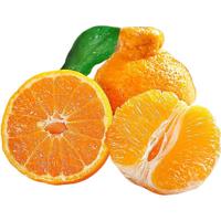 XIANGUOLAN 鲜菓篮 丑橘不知火 2.5kg