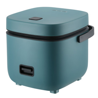 家实迷你电饭煲小1到2人小型电饭锅家用多功能煲汤老式蒸煮两用3