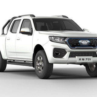 Great Wall Motors 长城汽车 风骏7 EV