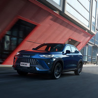 HAVAL 哈弗 H6S