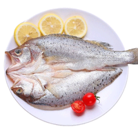 FISHERMAN'S FERRY 渔人渡 白蕉海鲈鱼 400-350g