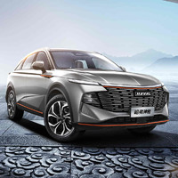 HAVAL 哈弗 神兽 22款 2.0T 双离合 两驱 智尊版