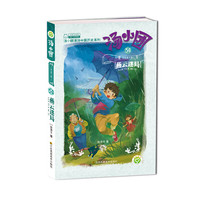 《汤小团漫游中国历史系列34·辽宋金元卷2：燕云迷局》
