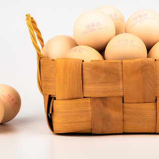 桂青源 山村鲜鸡蛋 30枚 1.5kg