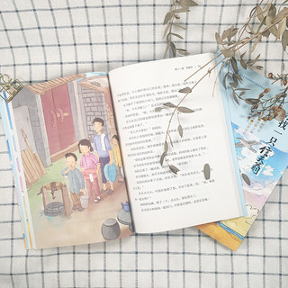 《春天的故事·纪念改革开放40周年儿童文学原创书系：寻找一只信天翁》