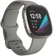 fitbit Fitbit Sense 高级智能手表,带工具,用于心脏*,压力管理和皮肤温度趋势,鼠尾草灰色/银色,均码(含长表带)