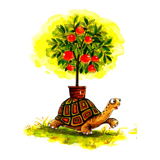 《大自然温馨微童话集·小乌龟的苹果树》（注音美绘版）