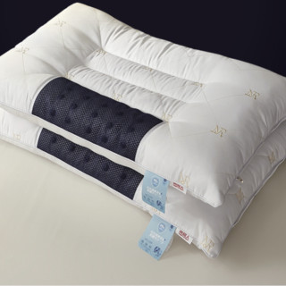 南极人 NanJiren 抗菌颈椎枕一对装 决明子磁石枕头枕芯 安睡枕头芯2只装