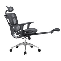 SITZONE DS-362A2-KT 人体工学电脑椅 黑色 高配款