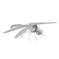 优迭尔 mc064 蜻蜓