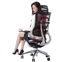 Ergojust 爱高佳 e5 办公电脑椅人体工学椅 久坐网面 E5标准黑色无脚托