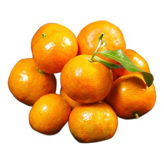 六尚 广西砂糖橘