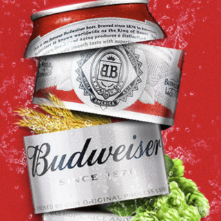 Budweiser 百威 经典醇正啤酒 330ml*24听*2箱