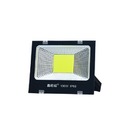 鑫超越 ESBB-B60007E-31 COB投光灯 100W 强光版