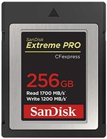 SanDisk 闪迪 Extreme PRO 内存卡 256GB