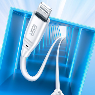 ESR 亿色 MFi认证 Type-C转Lightning 20W 数据线 PVC 1m 白色