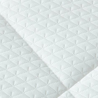 LUOLAI 罗莱家纺 床垫床褥子双面抗菌面料双人可折叠软垫 白色1.8米床