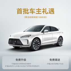 AITO 问界M5 智能豪华高性能SUV （陶瓷白外观 极夜黑内饰）