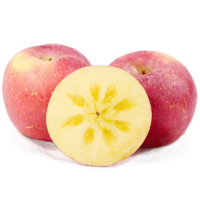 PLUS会员：唐鲜生 红富士苹果 中大果 15-18枚 带箱9.5-10斤