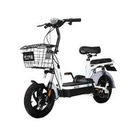 PALLA 新大洲 K3 电动自行车 TDT13-1Z 48V12Ah铅酸电池 灰色