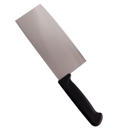 ZWILLING 双立人 菜刀刀具家用切菜刀切片切肉单刀片鱼刀厨具厨刀Enjoy中片刀18cm