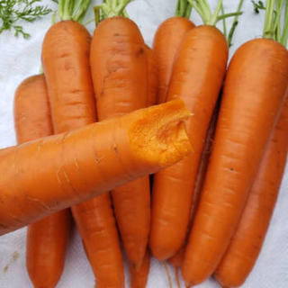 胡萝卜新鲜水果萝卜脆甜生吃红心沙地罗卜现挖带泥农家蔬菜 5斤