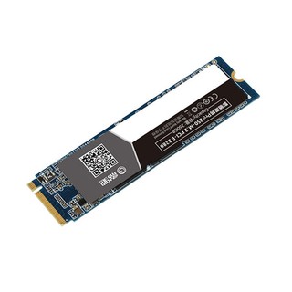 GALAXY 影驰 擎/黑将 SSD固态硬盘M.2接口(NVMe协议) PCIe高速台式机电脑硬盘 黑将Pro 250G/个人送保