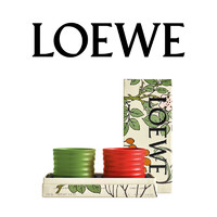 LOEWE罗意威绿意盎然香薰礼盒 170g*2