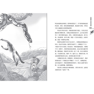 《中国野生动物传奇·美丽犀鸟的恐怖报复》