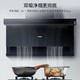 Haier 海尔 油烟机顶侧双吸易拆挡油板 家用厨房吸油机超薄设计CXW-219-EC700