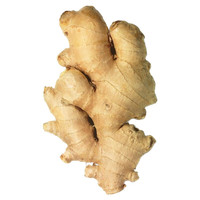 CHENGNANBAOHUA 城南堡花 山东大黄姜 2.5kg