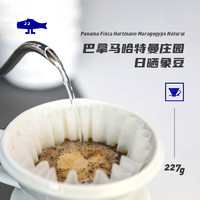 FISHER巴拿马哈特曼庄园日晒大象豆精品手冲单品咖啡豆N3