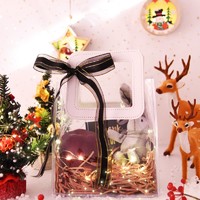 狮洛德 圣诞节礼物包装平安夜苹果盒结婚伴手礼袋带灯高透pvc礼品袋含缎带贺卡拉菲草许愿兔