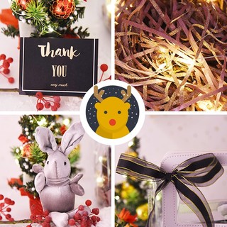狮洛德 圣诞节礼物包装平安夜苹果盒结婚伴手礼袋带灯高透pvc礼品袋含缎带贺卡拉菲草许愿兔