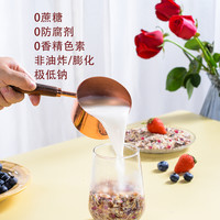 无蔗糖奇亚籽酸奶水果坚果燕麦片早餐代餐饱腹食品即食懒人营养