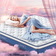新品发售：Sleemon 喜临门 蝶梦Dream 3D椰棕软硬两用床垫 1800*2000mm