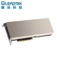 LEADTEK 丽台 NVIDIA A100 80G HBM2e/1935GBps 视觉计算GPU/大型数据处理//深度学习/高性能计算HPC